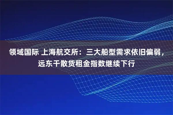 领域国际 上海航交所:三大船型需求依旧偏弱,远东干散货租金指数继续下行