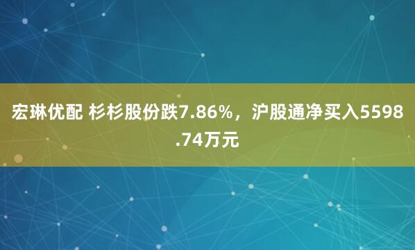 宏琳优配 杉杉股份跌7.86%,沪股通净买入5598.74万元
