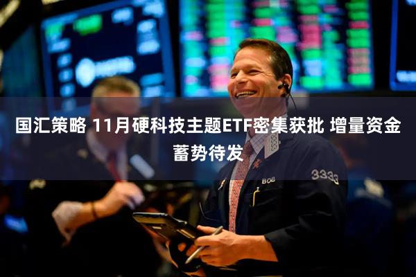 国汇策略 11月硬科技主题ETF密集获批 增量资金蓄势待发