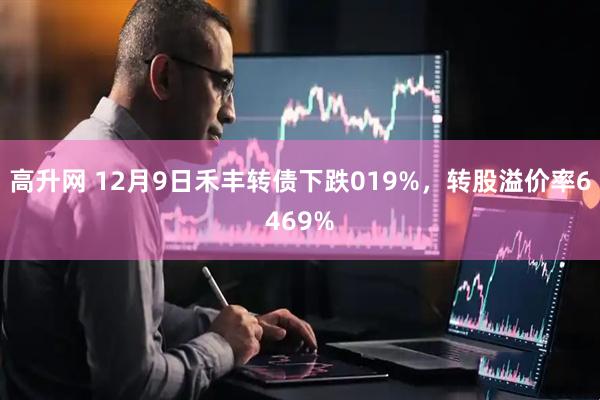 高升网 12月9日禾丰转债下跌019%，转股溢价率6469%