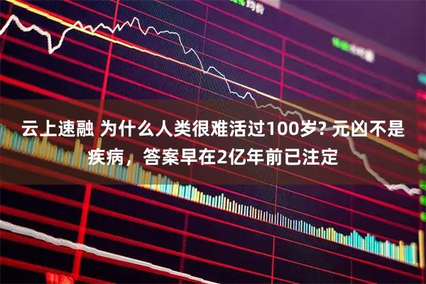 云上速融 为什么人类很难活过100岁? 元凶不是疾病,答案早在2亿年前已注定